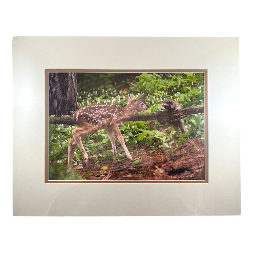 11x14 Doe Meeting Raccoon Wildlife Print Rustic Art